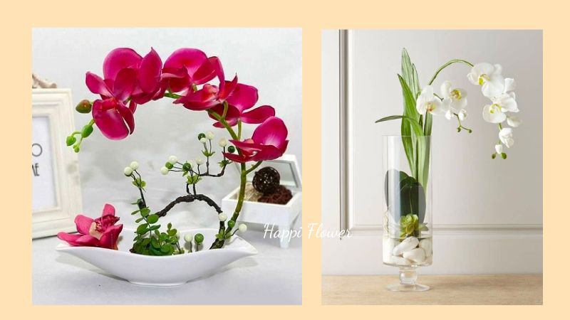 Hoa phong lan giúp phòng khách thu hút